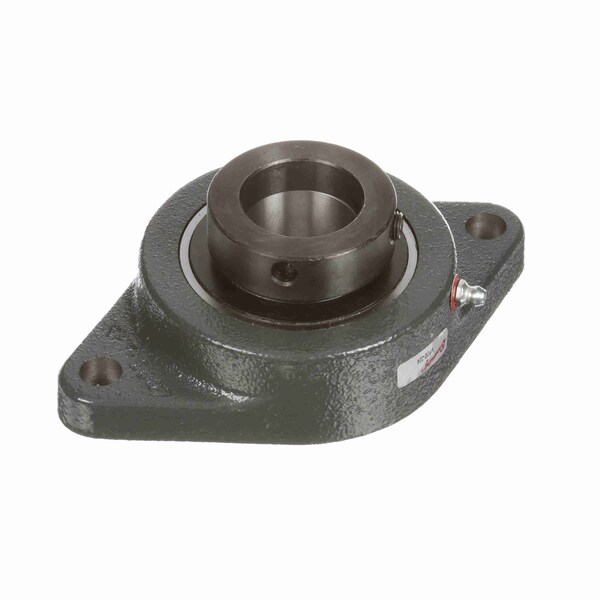 Mounted Cast Iron Two Bolt Flange Ball Bearing, VF2E-224